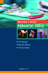 Novinky v léčbě poranění srdce