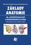 Základy anatomie. 3b. Močopohlavní a endokrinní systém