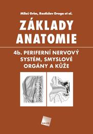 Základy anatomie. 4b. Periferní nervový systém, smyslové orgány a kůže